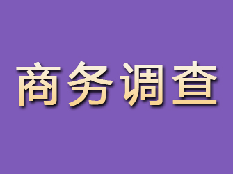 龙安商务调查